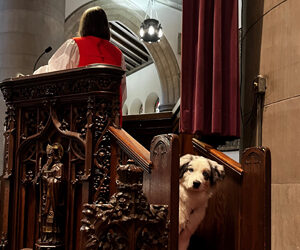 Tali in pulpit - resized for web