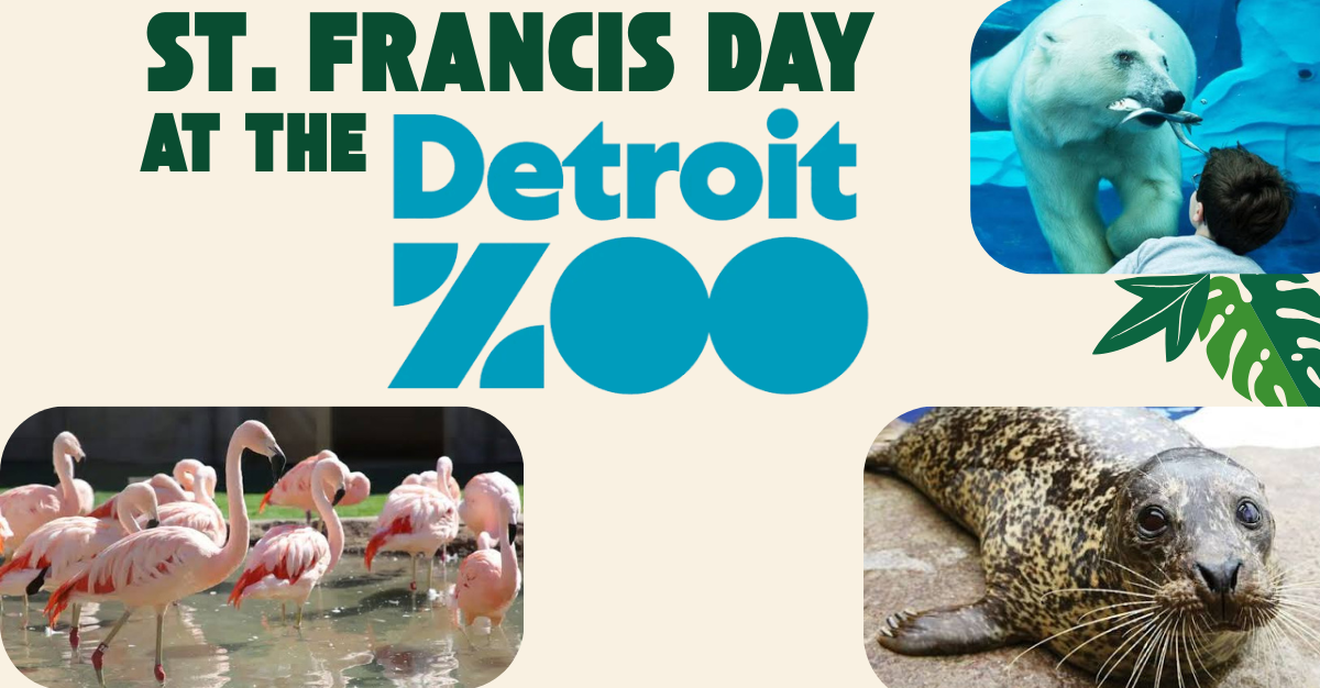 st-francis-day